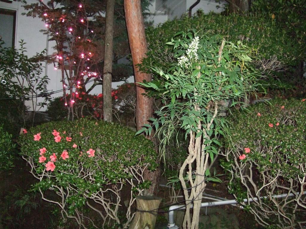 Marunaka Ryokan Matsumoto Buitenkant foto